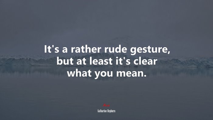 It’s a rather rude gesture, but at least it’s clear what you mean. | Katharine Hepburn quote