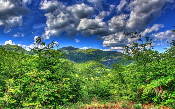 Green mountains under a cloudy blue sky