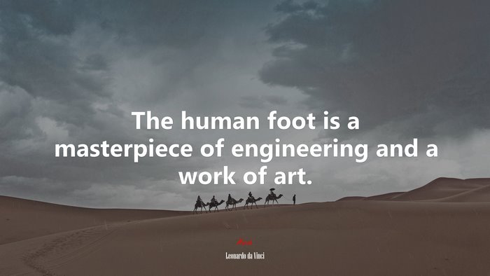The human foot is a masterpiece of engineering and a work of art. | Leonardo da Vinci quote