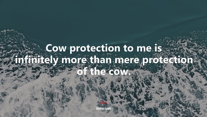 Cow protection to me is infinitely more than mere protection of the cow. | Mahatma Gandhi quote