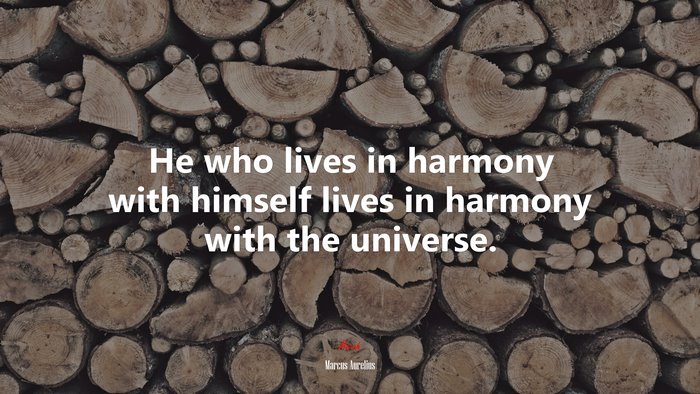 He who lives in harmony with himself lives in harmony with the universe. | Marcus Aurelius quote
