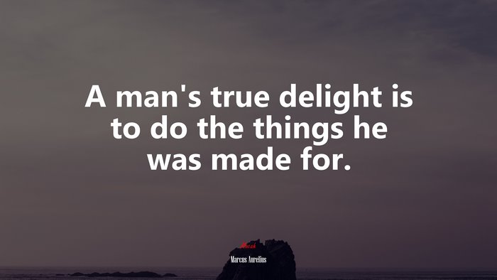 A man’s true delight is to do the things he was made for. | Marcus Aurelius quote