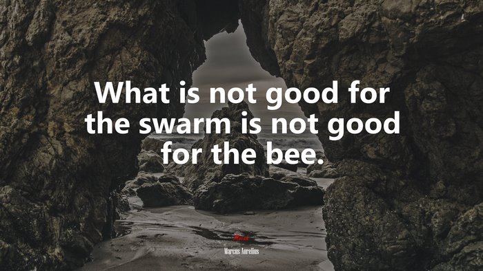 What is not good for the swarm is not good for the bee. | Marcus Aurelius quote