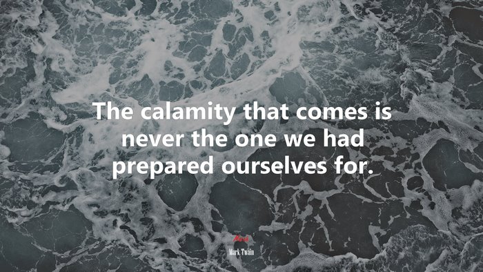 The calamity that comes is never the one we had prepared ourselves for. | Mark Twain quote