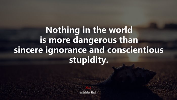 Nothing in the world is more dangerous than sincere ignorance and conscientious stupidity. | Martin Luther King Jr. quote
