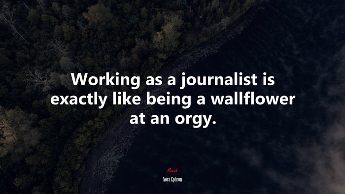 Working as a journalist is exactly like being a wallflower at an orgy. | Nora Ephron quote