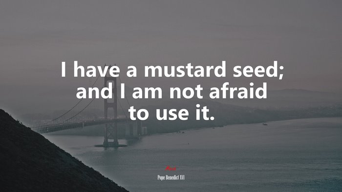 I have a mustard seed; and I am not afraid to use it. | Pope Benedict XVI quote