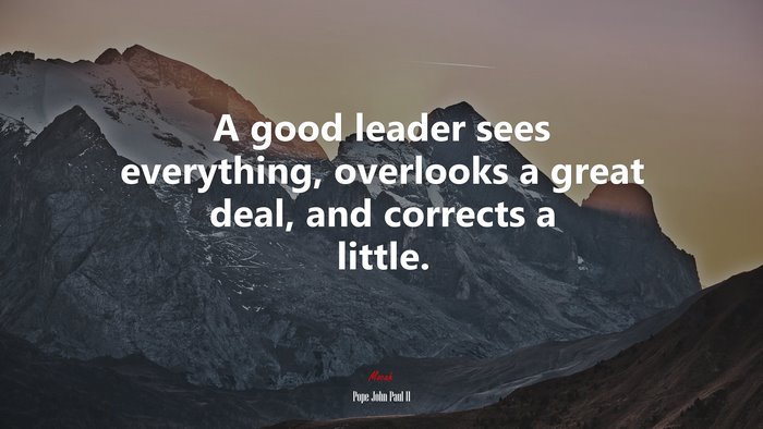 A good leader sees everything, overlooks a great deal, and corrects a little. | Pope John Paul II quote