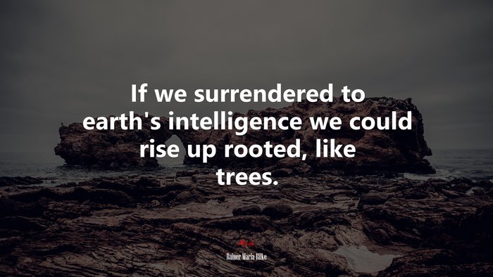 If we surrendered to earth’s intelligence we could rise up rooted, like trees. | Rainer Maria Rilke quote