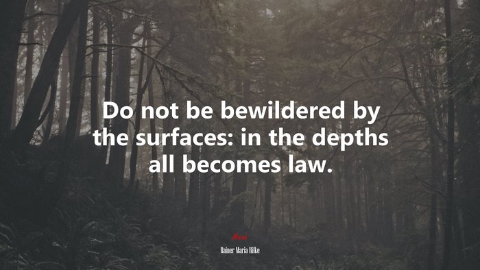 Do not be bewildered by the surfaces: in the depths all becomes law. | Rainer Maria Rilke quote