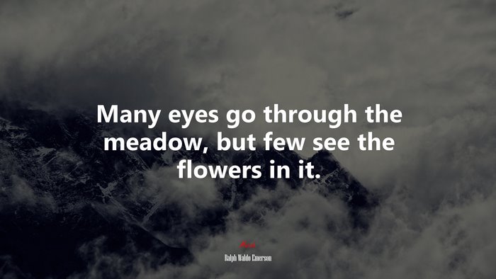 Many eyes go through the meadow, but few see the flowers in it. | Ralph Waldo Emerson quote