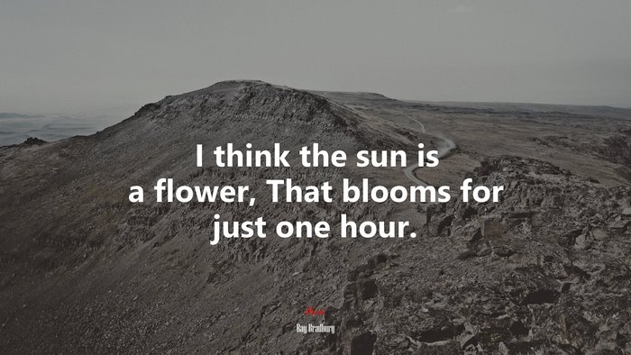 I think the sun is a flower, That blooms for just one hour. | Ray Bradbury quote