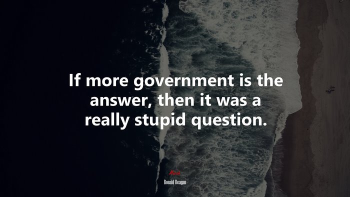 If more government is the answer, then it was a really stupid question. | Ronald Reagan quote