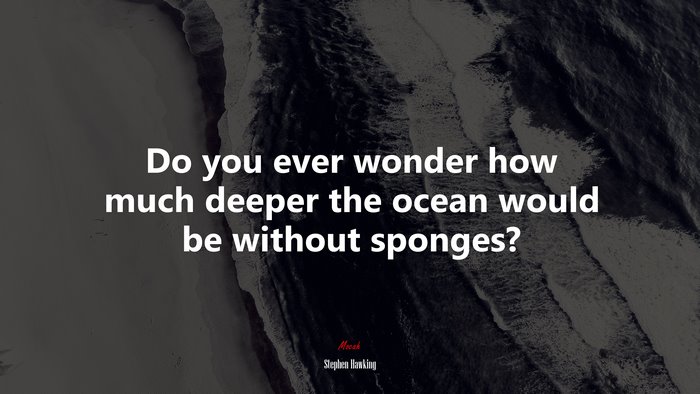 Do you ever wonder how much deeper the ocean would be without sponges? | Stephen Hawking quote