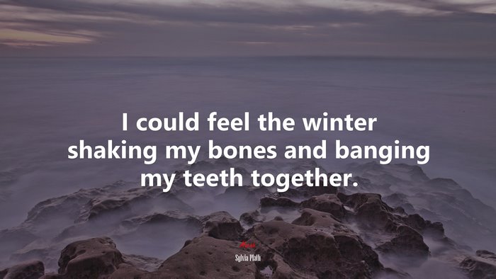 I could feel the winter shaking my bones and banging my teeth together. | Sylvia Plath quote