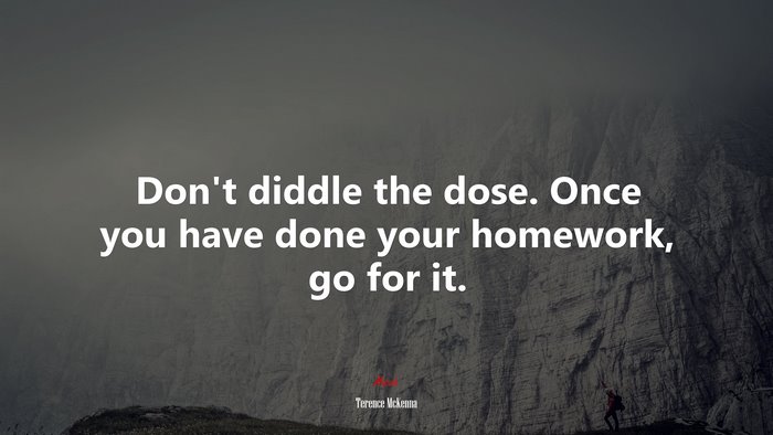 Don’t diddle the dose. Once you have done your homework, go for it. | Terence McKenna quote
