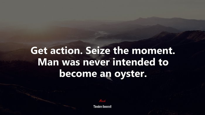 Get action. Seize the moment. Man was never intended to become an oyster. | Theodore Roosevelt quote