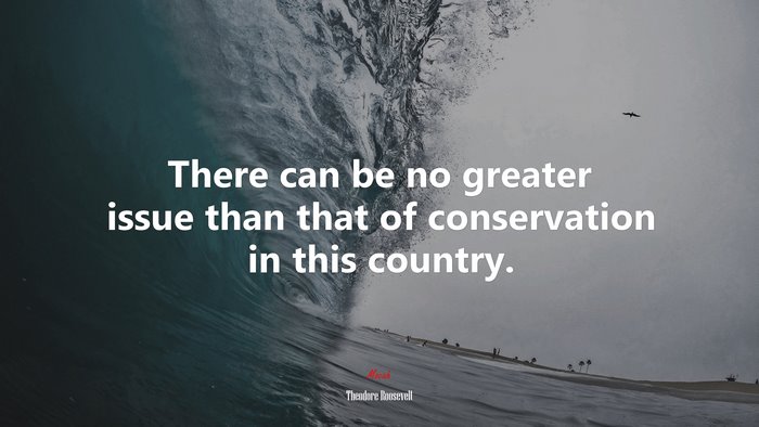 There can be no greater issue than that of conservation in this country. | Theodore Roosevelt quote