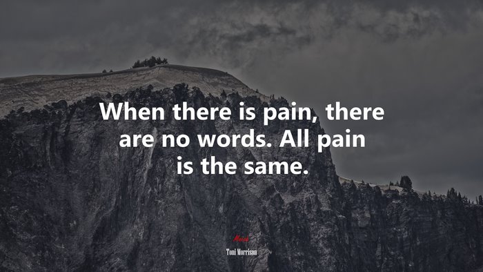 When there is pain, there are no words. All pain is the same. | Toni Morrison quote