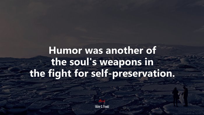 Humor was another of the soul’s weapons in the fight for self-preservation. | Viktor E. Frankl quote