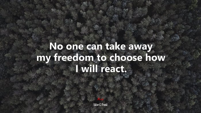 No one can take away my freedom to choose how I will react. | Viktor E. Frankl quote