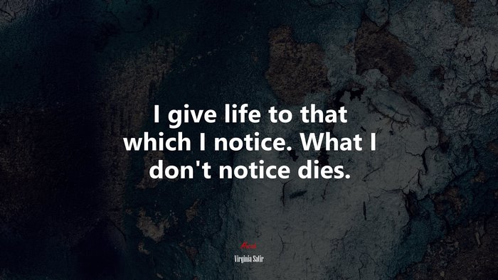 I give life to that which I notice. What I don’t notice dies. | Virginia Satir quote