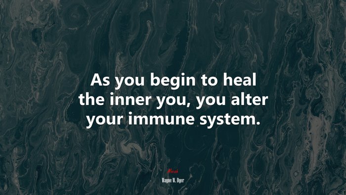 As you begin to heal the inner you, you alter your immune system. | Wayne W. Dyer quote