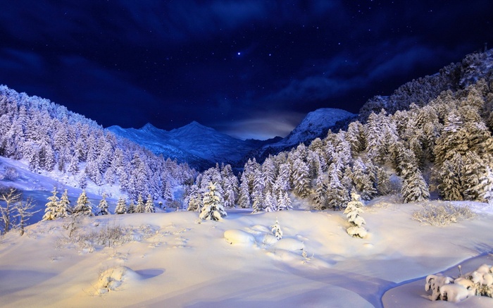 Snowy mountains and forest under a starry night sky