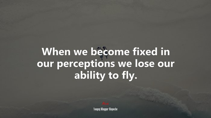 When we become fixed in our perceptions we lose our ability to fly. | Yongey Mingyur Rinpoche quote