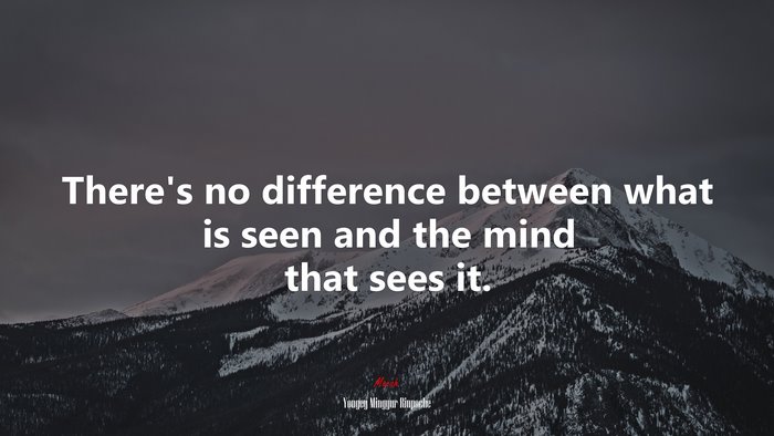 There’s no difference between what is seen and the mind that sees it. | Yongey Mingyur Rinpoche quote