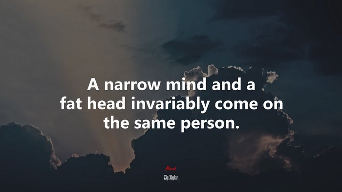 A narrow mind and a fat head invariably come on the same person. | Zig Ziglar quote