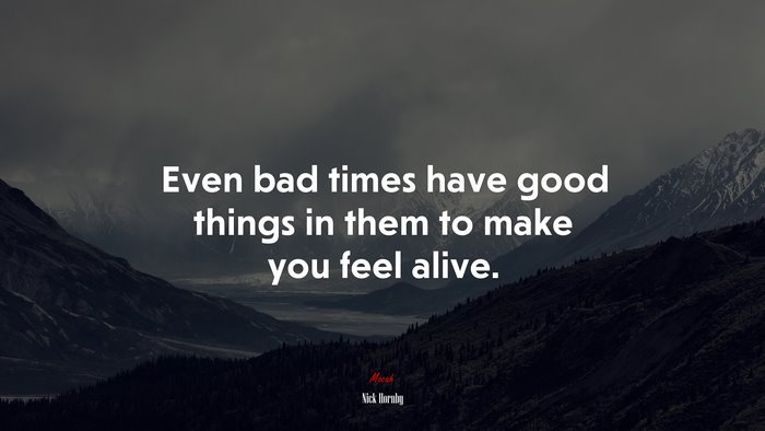 Even bad times have good things in them to make you feel alive. | Nick Hornby quote
