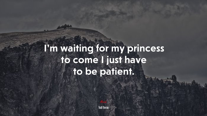 I’m waiting for my princess to come I just have to be patient. | Niall Horan quote