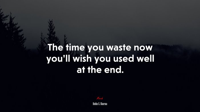 The time you waste now you’ll wish you used well at the end. | Robin S. Sharma quote