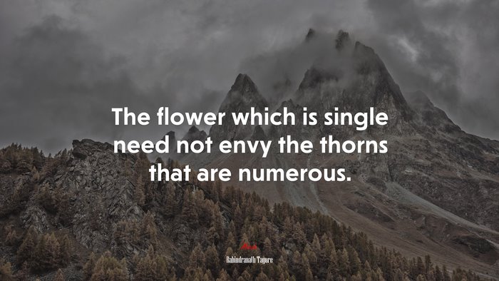 The flower which is single need not envy the thorns that are numerous. | Rabindranath Tagore quote