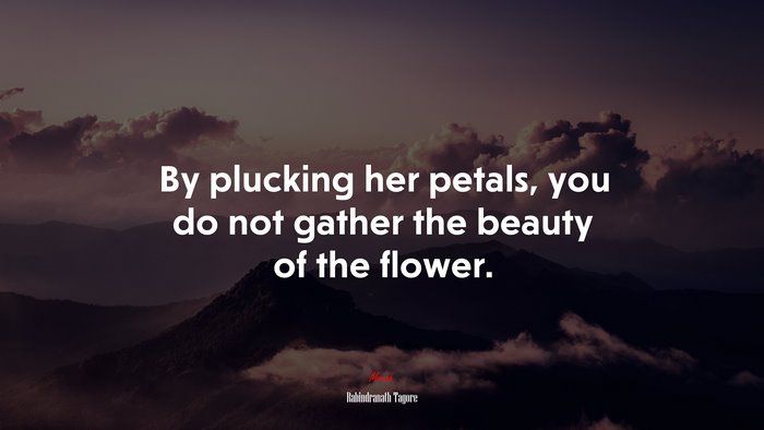 By plucking her petals, you do not gather the beauty of the flower. | Rabindranath Tagore quote