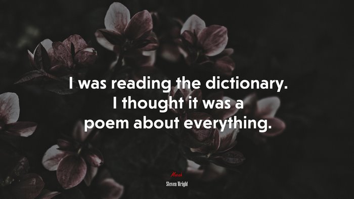 I was reading the dictionary. I thought it was a poem about everything. | Steven Wright quote