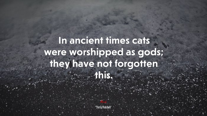 In ancient times cats were worshipped as gods; they have not forgotten this. | Terry Pratchett quote