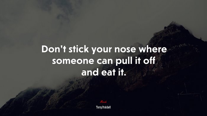 Don’t stick your nose where someone can pull it off and eat it. | Terry Pratchett quote