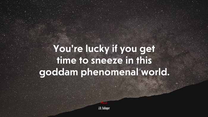 You’re lucky if you get time to sneeze in this goddam phenomenal world. | J.D. Salinger quote