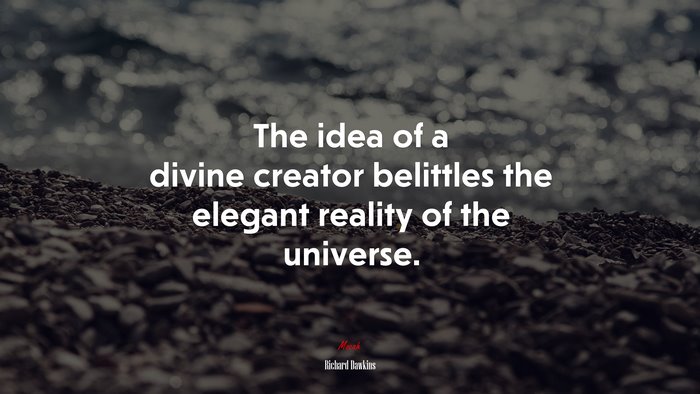 The idea of a divine creator belittles the elegant reality of the universe. | Richard Dawkins quote
