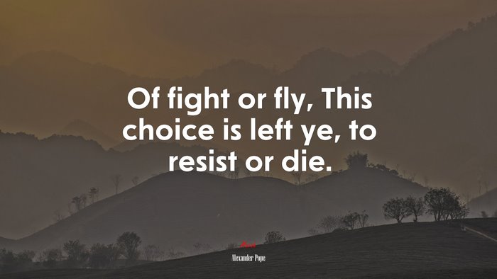 Of fight or fly, This choice is left ye, to resist or die. | Alexander Pope quote