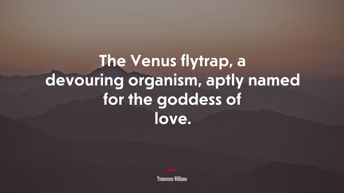 The Venus flytrap, a devouring organism, aptly named for the goddess of love. | Tennessee Williams quote