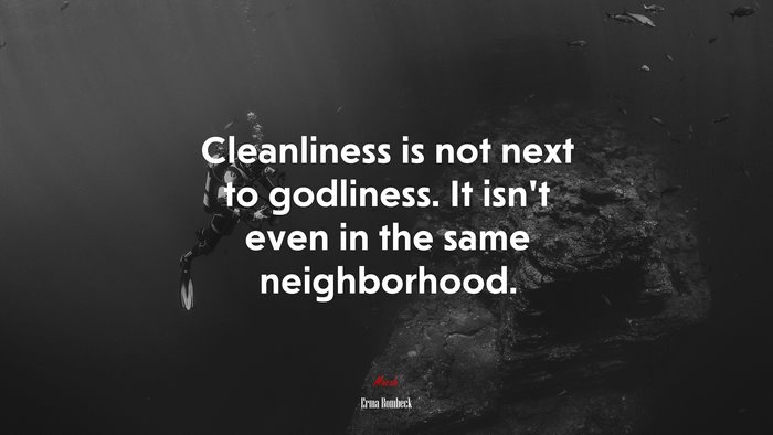 Cleanliness is not next to godliness. It isn’t even in the same neighborhood. | Erma Bombeck quote