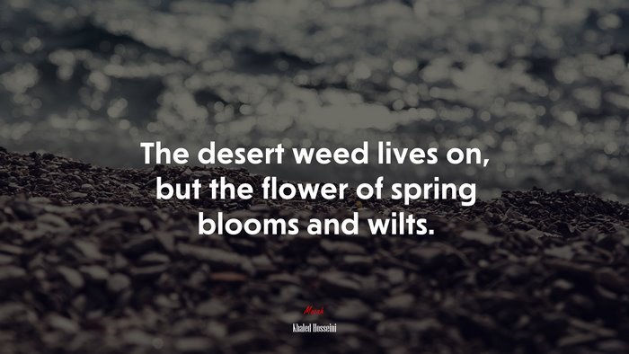 The desert weed lives on, but the flower of spring blooms and wilts. | Khaled Hosseini quote