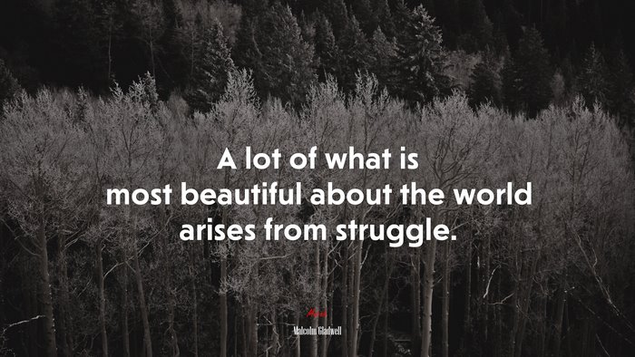 A lot of what is most beautiful about the world arises from struggle. | Malcolm Gladwell quote