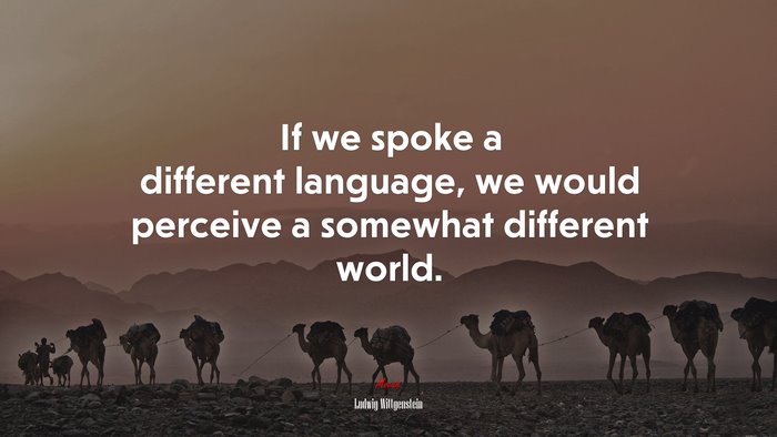If we spoke a different language, we would perceive a somewhat different world. | Ludwig Wittgenstein quote