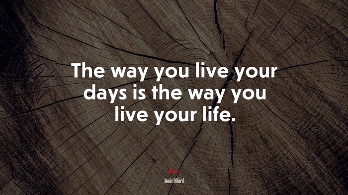 The way you live your days is the way you live your life. | Annie Dillard quote