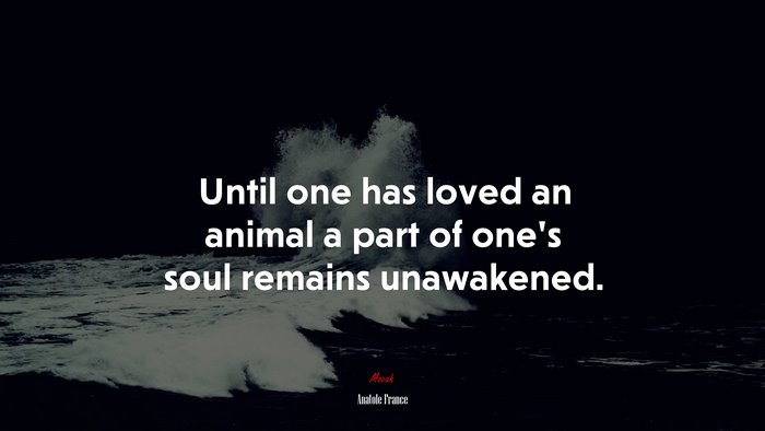Until one has loved an animal a part of one’s soul remains unawakened. | Anatole France quote