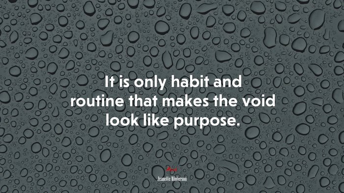 It is only habit and routine that makes the void look like purpose. | Jeanette Winterson quote